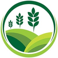 Landscaping Template